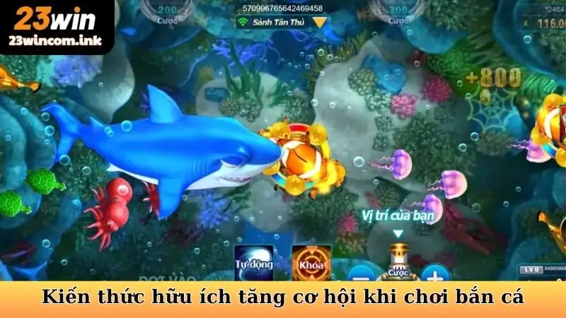 Bắn Cá H5 - Cuộc Phiêu Lưu Đại Dương Bất Tận Tại 23win 6 Kiến thức hữu ích tăng cơ hội khi chơi bắn cá